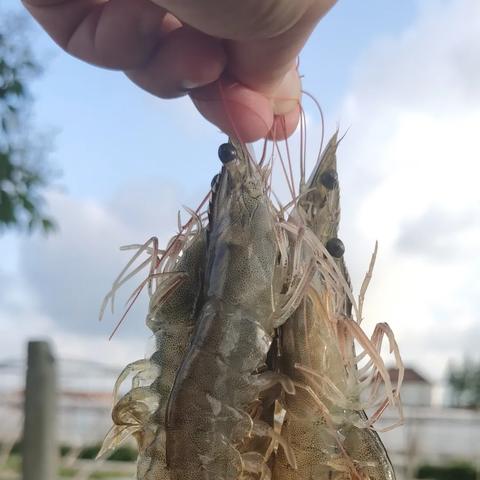 少年中国·环保课堂 第24页