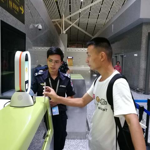 鸷鸟不群