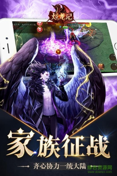 炫龙记激活码同mega官方下载器,平衡策略实施_精装版_v3.103